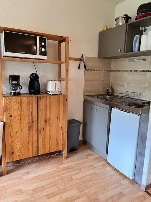 Studio Au Pied Des Pistes Montferrier Eksteriør billede